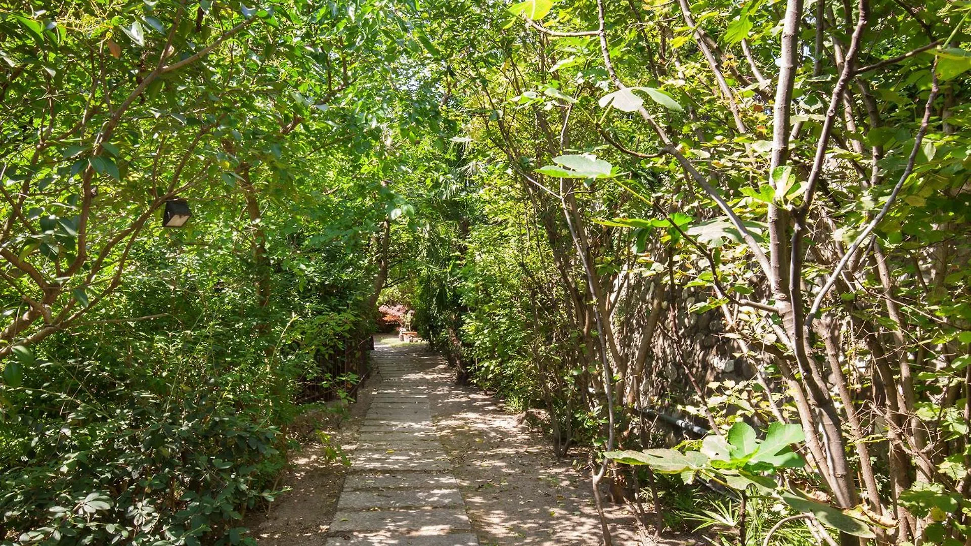 Casa Flora-Grande Appartamento A Garda Garde