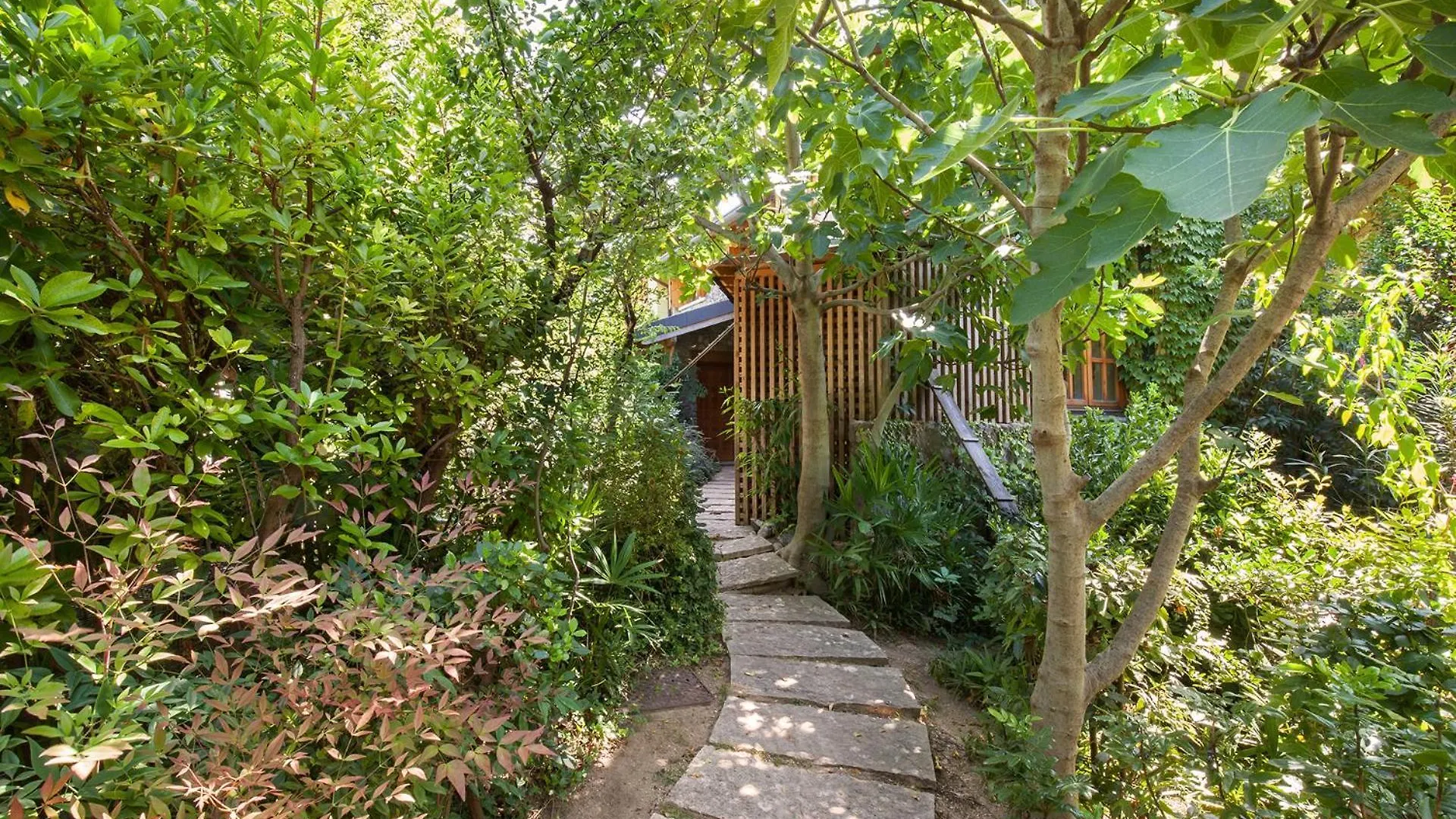 Casa Flora-Grande Appartamento A Garda 0*, 加尔达 意大利